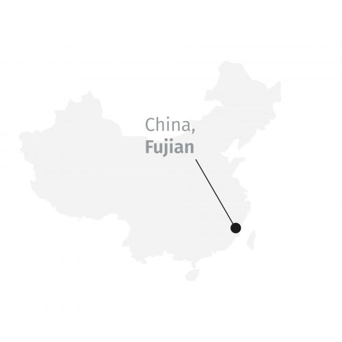 Té blanco - Jasmin Silverneedle BIO (Jazmín)