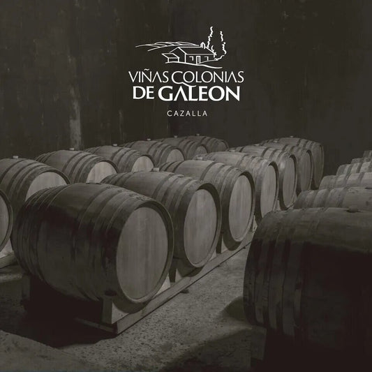 Vino Tinto Cantueso 2023 - Eco