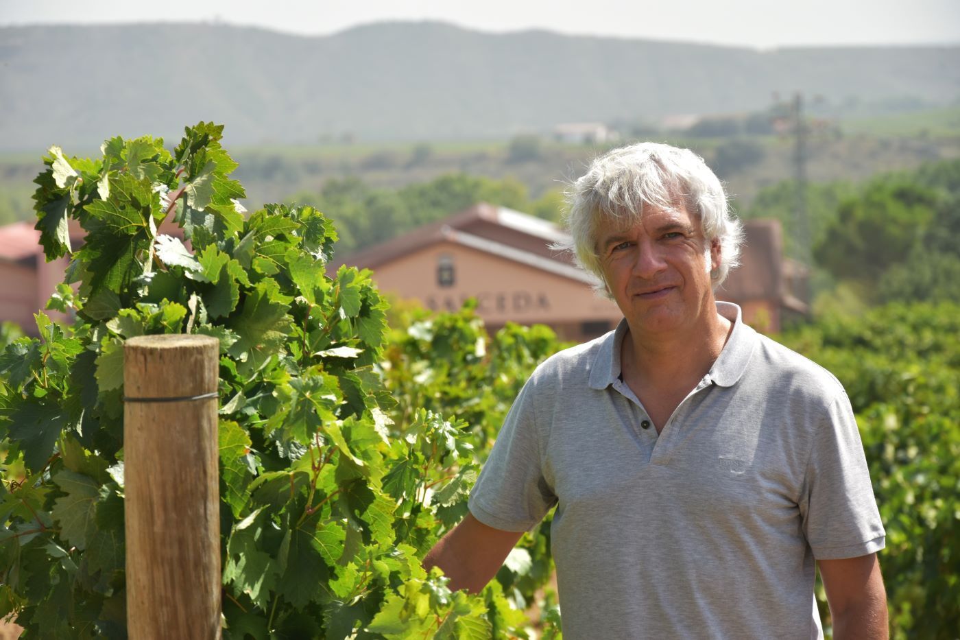 Vino Tinto Viña Salceda Crianza 2021