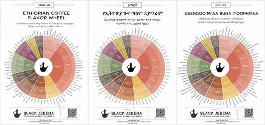 Por qué creamos la Rueda de Sabores del Café Etíope