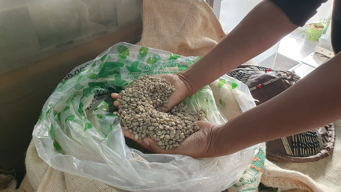 Suscripción de café de Etiopía: café premium, tostado en micro-lotes en tu casa