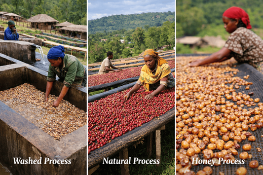 #20 Café lavado vs café natural: ¿Cómo elegir el tuyo?