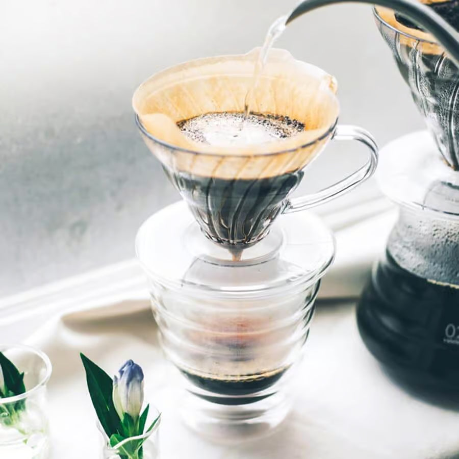 Hario Dripper V60 metacrilato 01 / 02