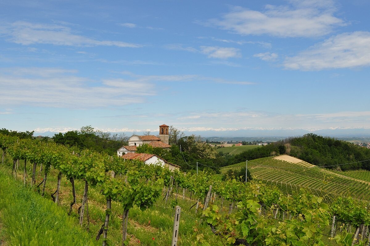 Vino Blanco Alice Bel Colle Moscato D’asti 2024