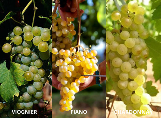 Vino Blanco La Segreta Bianco 2024