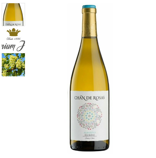 Vino Blanco Chan de Rosas
