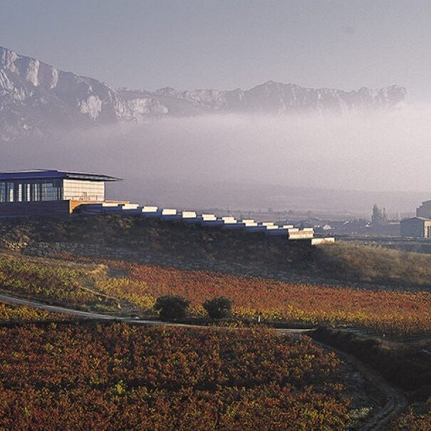 Vino Tinto Baigorri Crianza 2021