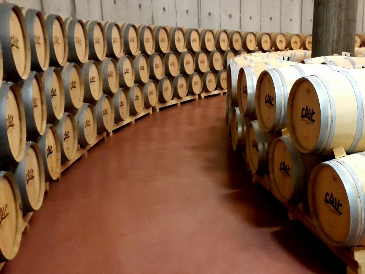 Vino Tinto Cair Cuvee 2022