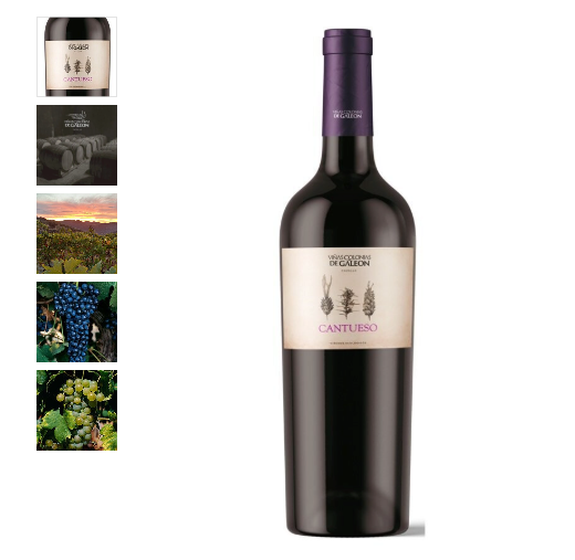 Vino Tinto Cantueso 2023 - Eco