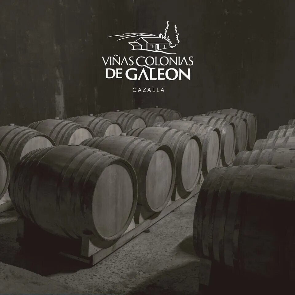 Vino Tinto Colonia 40 2024 - Eco