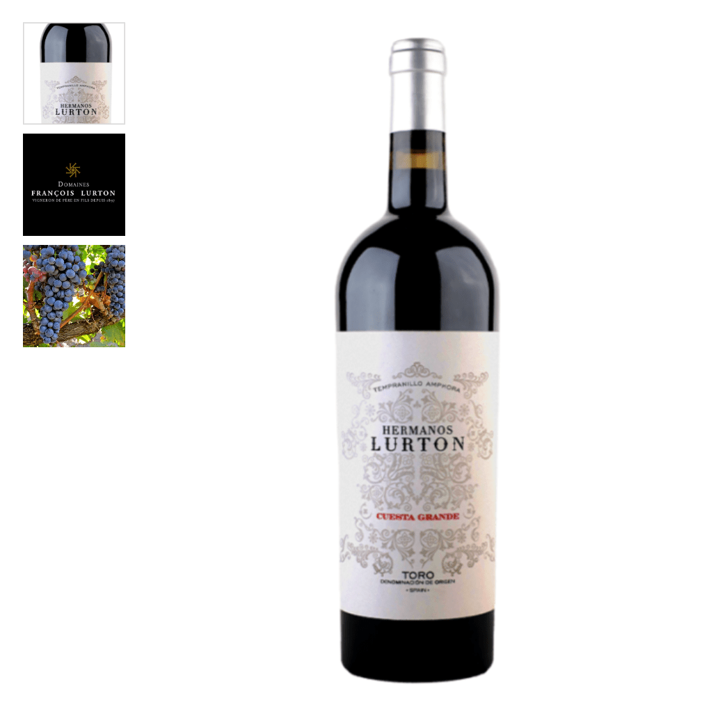 Vino Tinto Cuesta Grande - Eco - Black Jebena