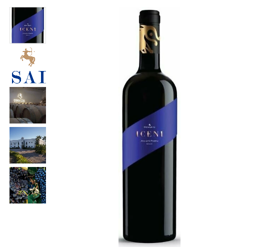 Vino Tinto Iceni 2024