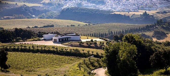 Vino Tinto La Encina del Ingles Tinto 2024