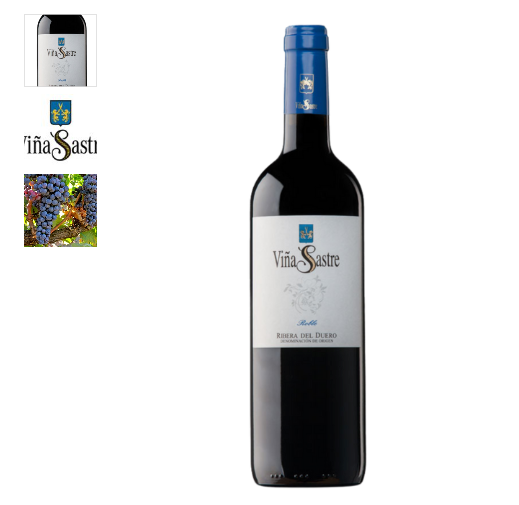 Vino Tinto Viña Sastre Rafael Sastre 2023