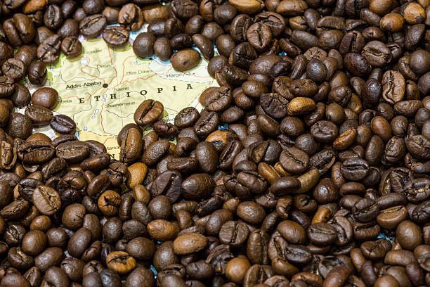 Paisaje cafetero en Etiopía