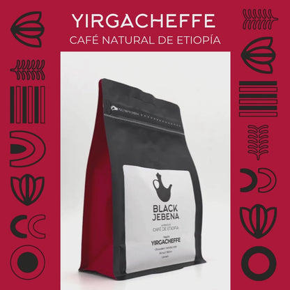 Black Jebena, café en grano o molido, 100% arábica de Etiopía, región de Yirga Cheffe